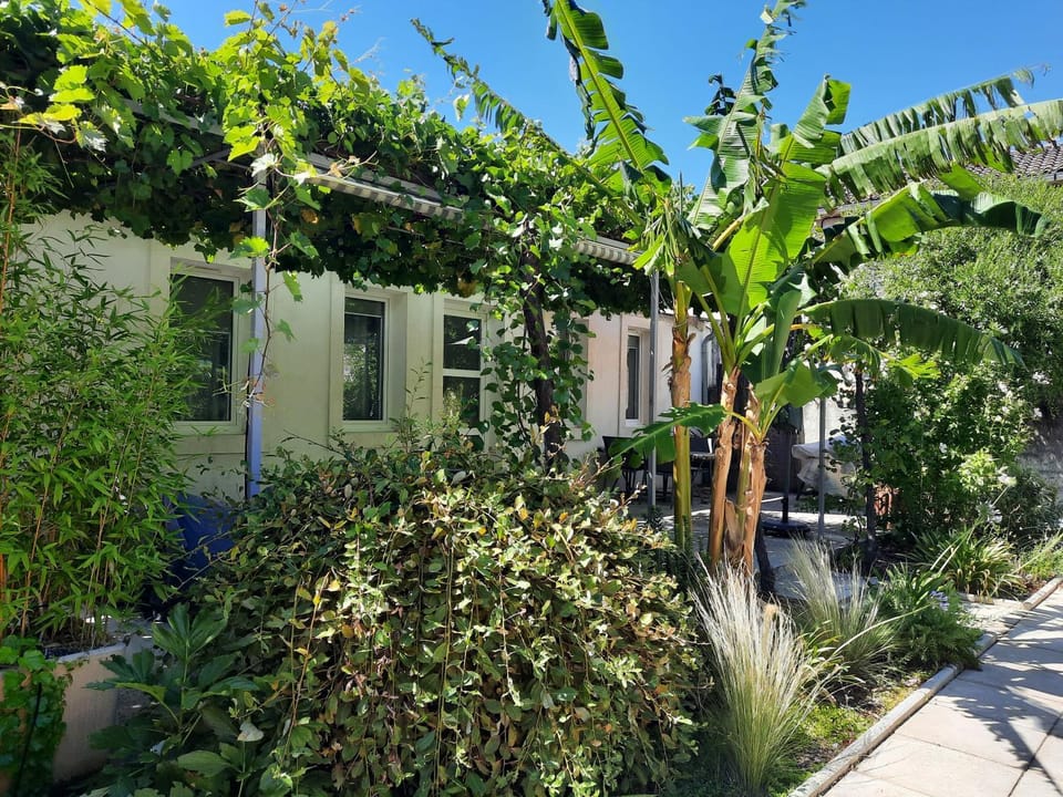 Property building, Patio