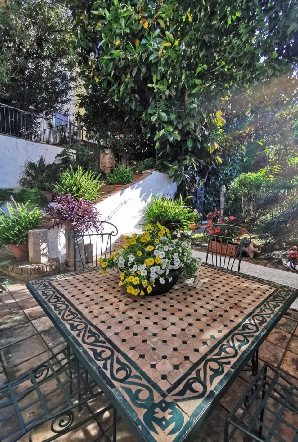 Oasi di Pace House in Gaeta