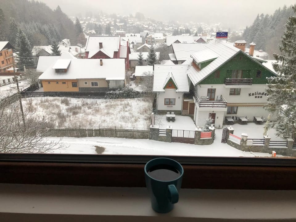 Apartament Andy Busteni 30 m de partie Apartment in Prahova, Romania