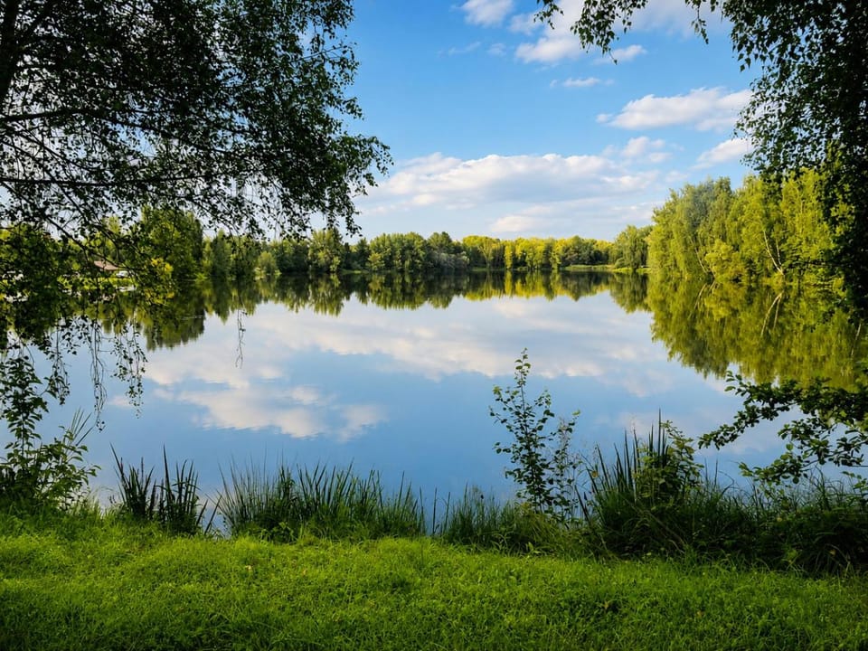Noclegi Dębowy Zakątek Apartment in Lesser Poland Voivodeship