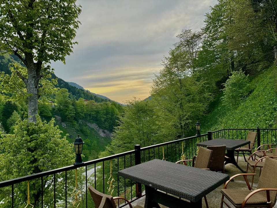 Spring, Day, Natural landscape, Garden, View (from property/room), Garden view, Mountain view
