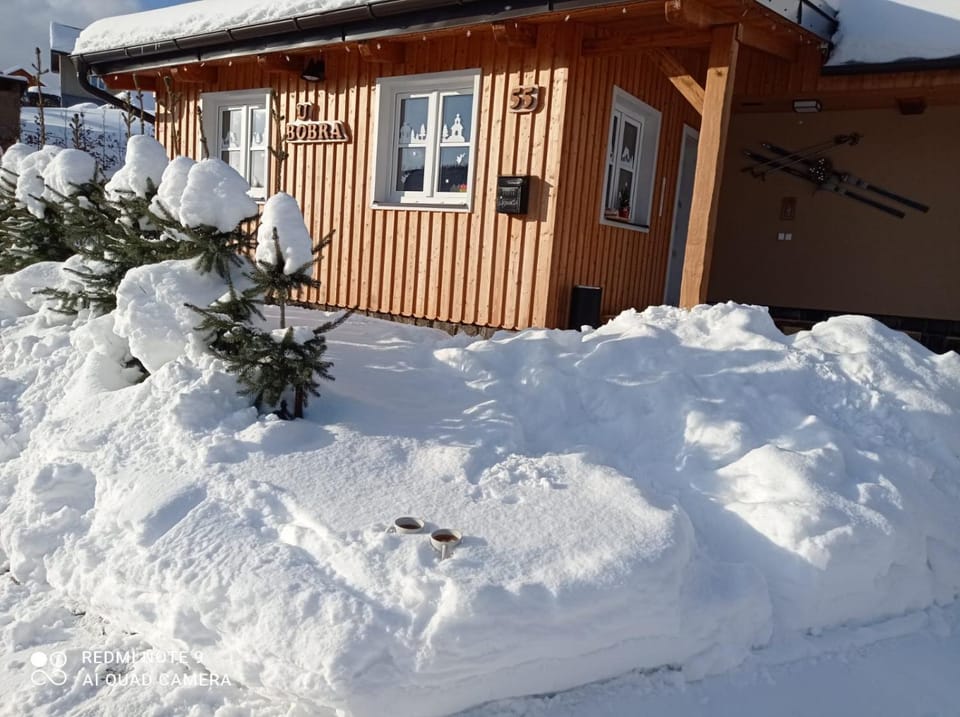 CHALUPA U BOBRA Apartment in Lower Silesian Voivodeship