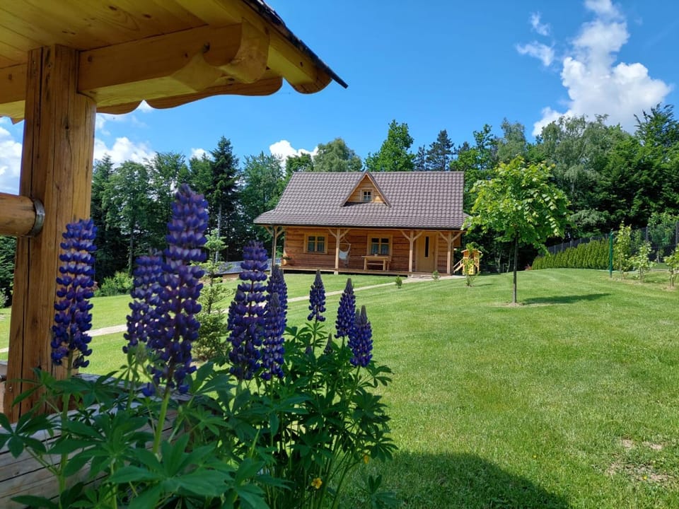 Domek u Heli House in Lesser Poland Voivodeship