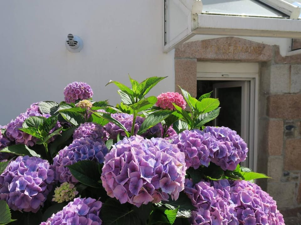 Maison bretonne de charme rénovée, WiFi gratuit, à 200m du centre de Perros-Guirec, plages à 800m - FR-1-368-249 House in Perros-Guirec