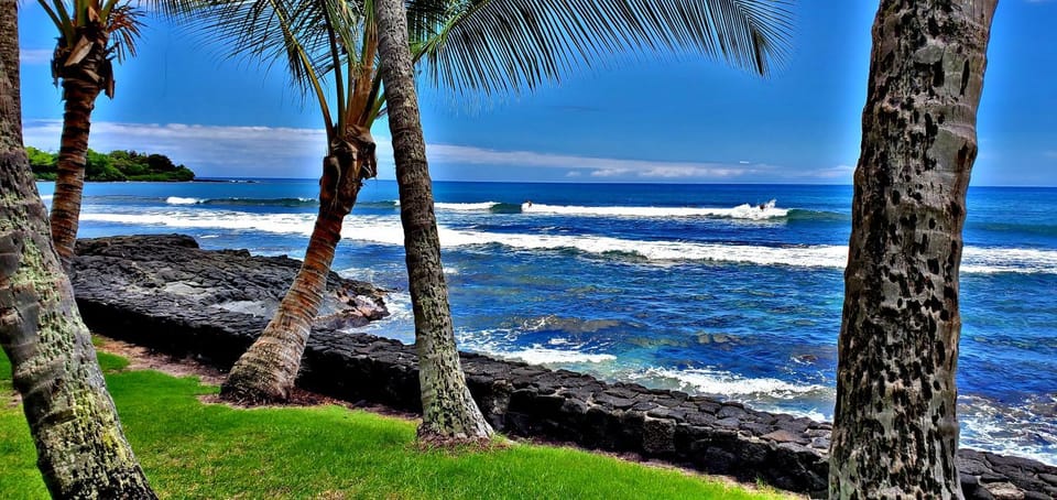 Garden, Sea view, Sunset