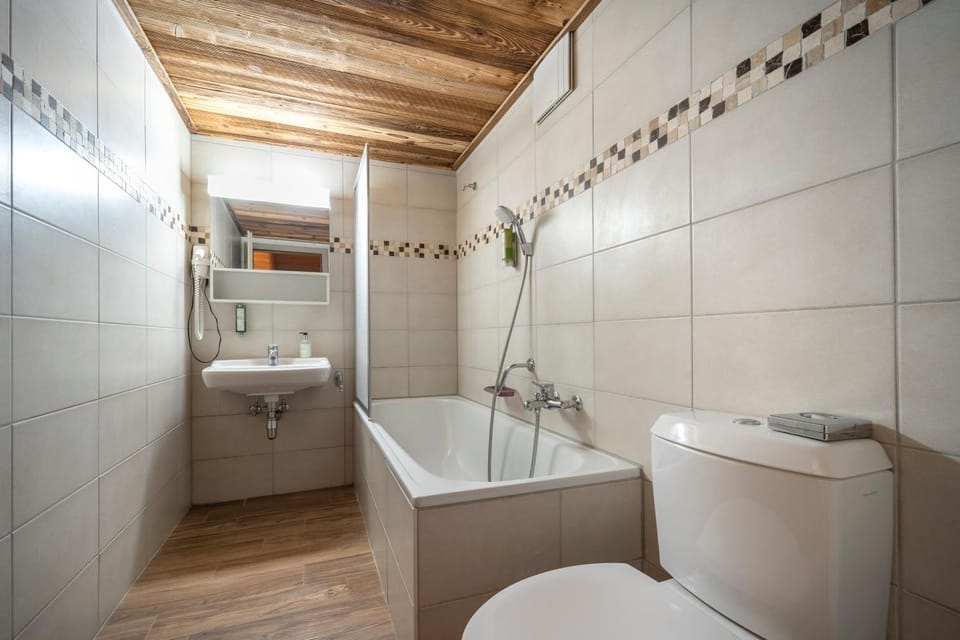 Toilet, Bathroom, Bath, hair dryier