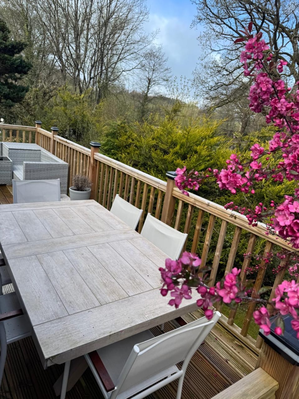 8F Lakeside Lodge Caer Beris Builth Wells - No Tradesman Apartment in Wales