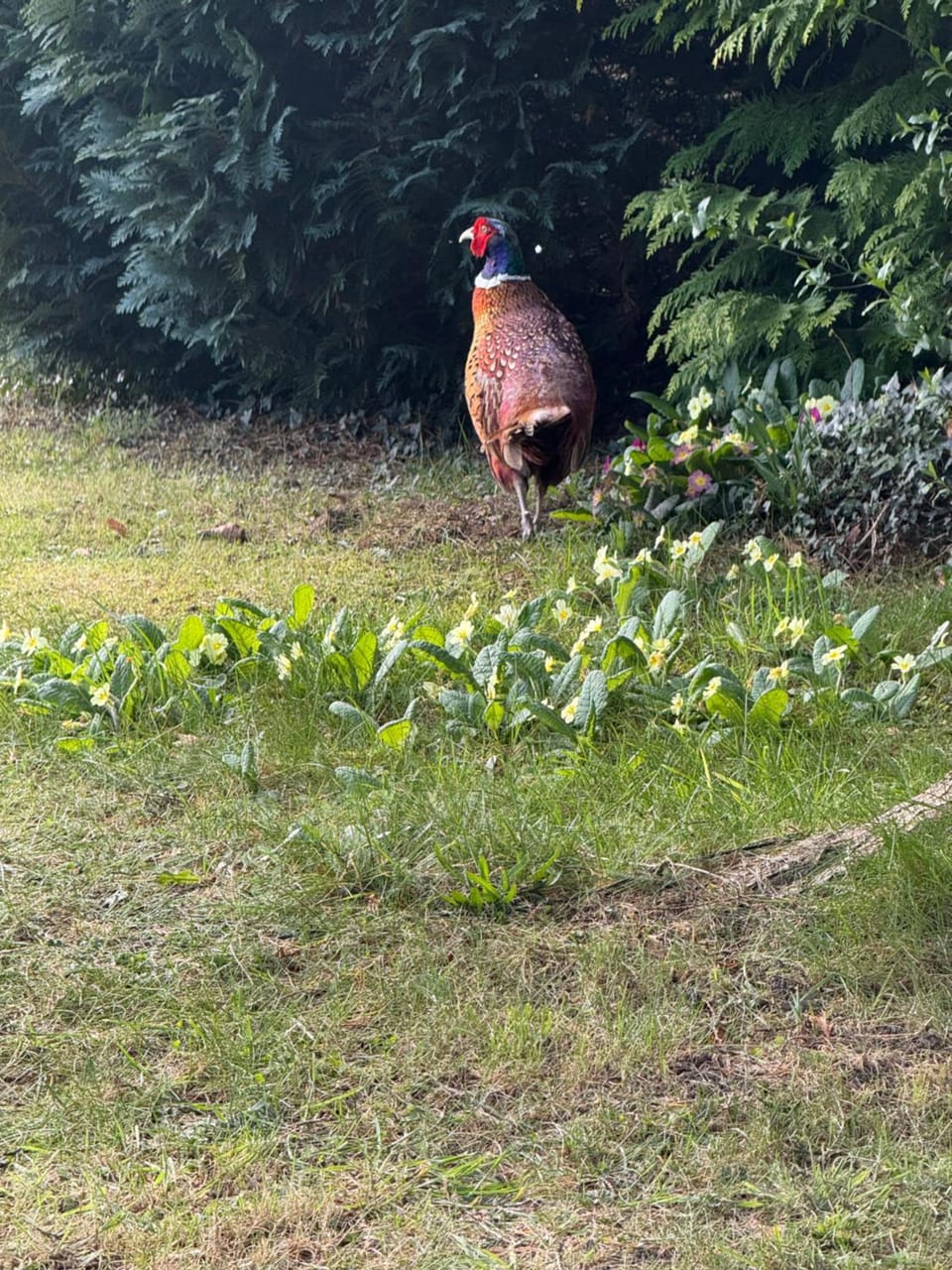 8F Lakeside Lodge Caer Beris Builth Wells - No Tradesman Apartment in Wales