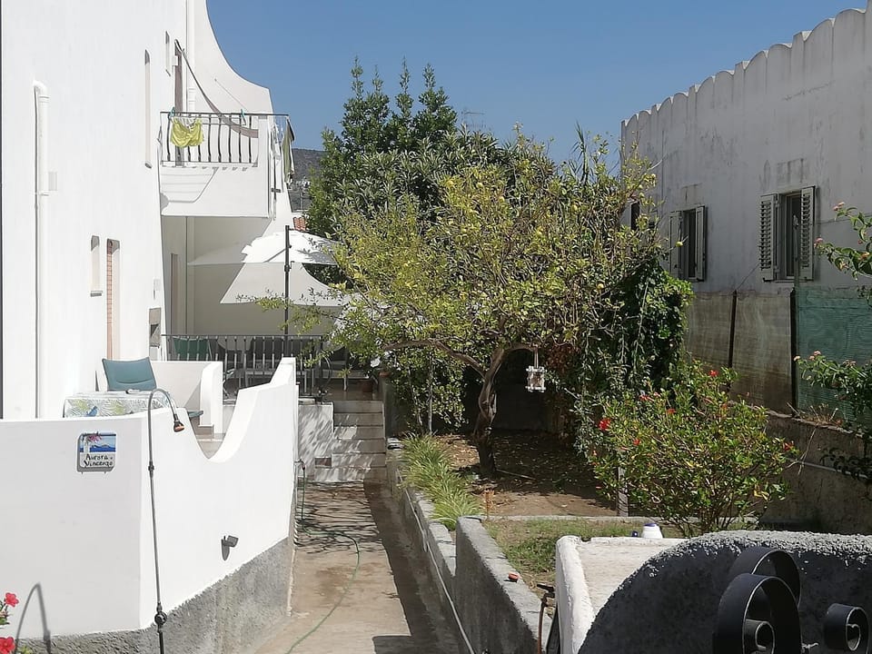 Property building, Day, Garden, View (from property/room), Garden view
