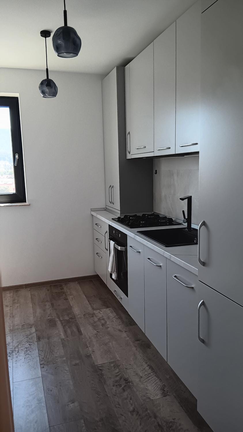 Kitchen or kitchenette, dishwasher, stove