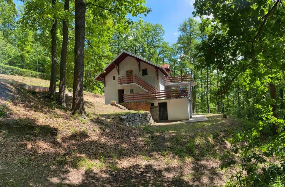 Property building, Spring, Day, Natural landscape, Garden, Garden view