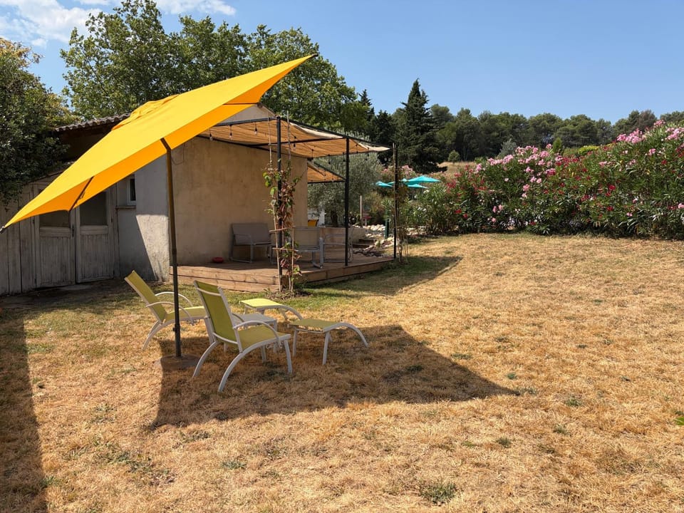 Patio, Day, Natural landscape, Garden, Garden view, sunbed