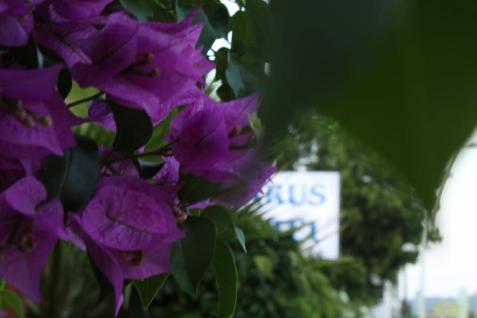 Parus Hotel Hotel in Antalya Province