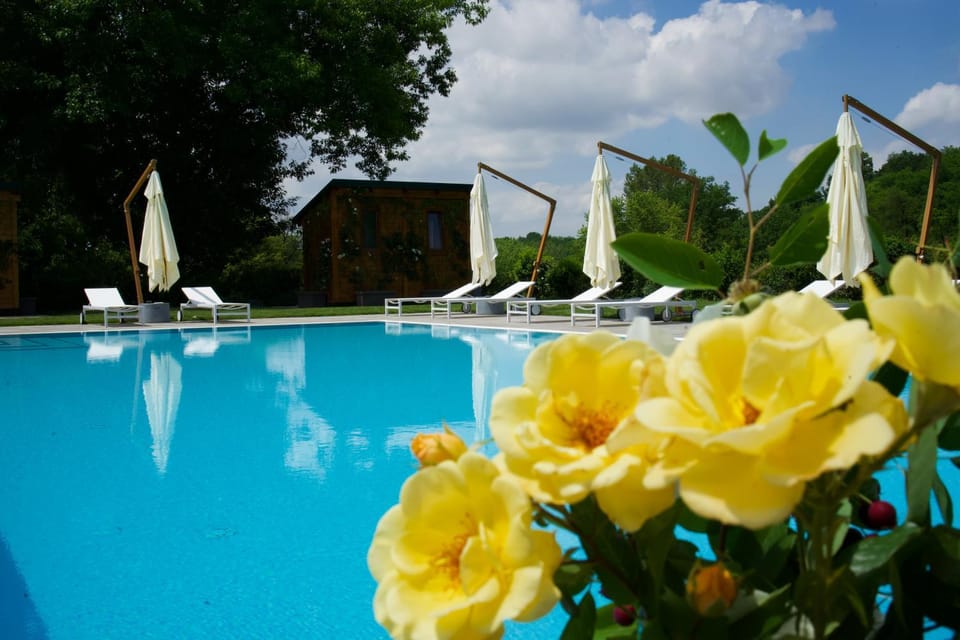 Swimming pool, Swimming pool, sunbed