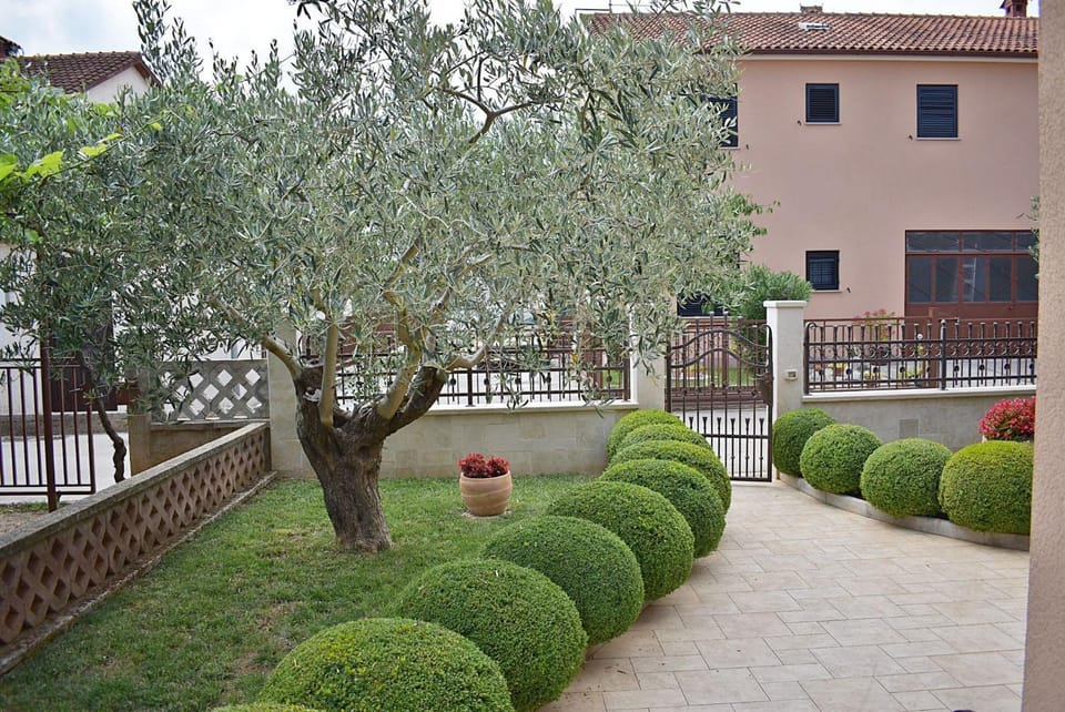 Patio, Garden, Garden view