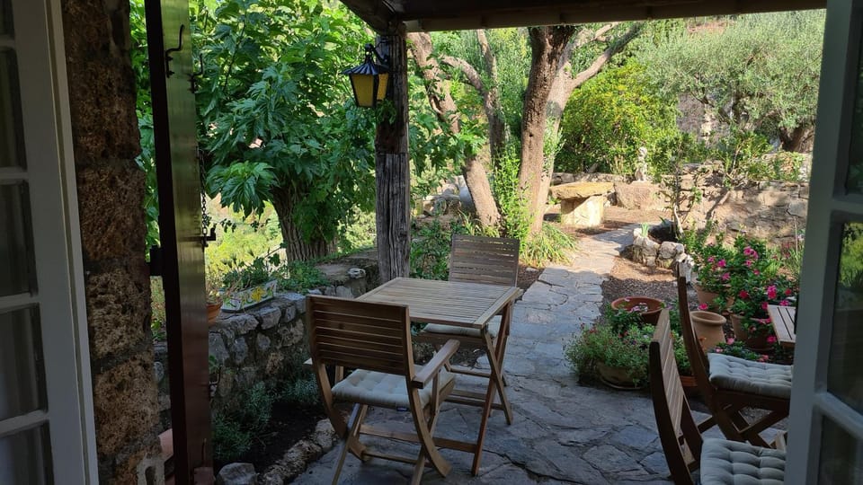 Garden, Balcony/Terrace