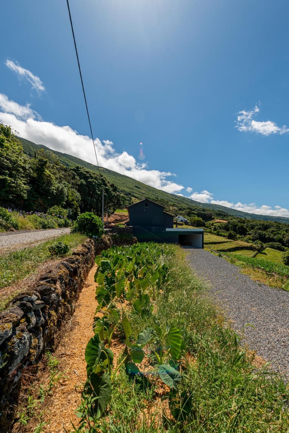Rosa Chá House in Azores District