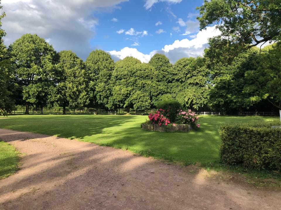 Garden view