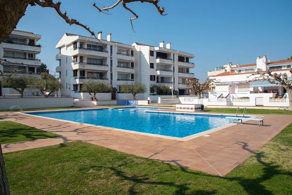 Day, Garden, On site, Swimming pool