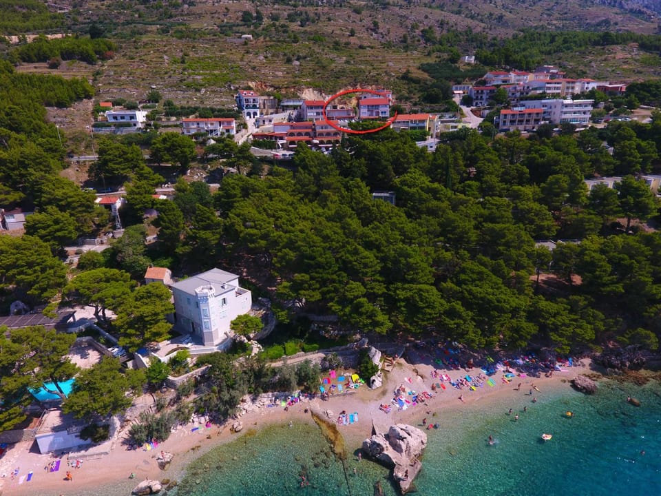 Neighbourhood, Natural landscape, Bird's eye view, Street view