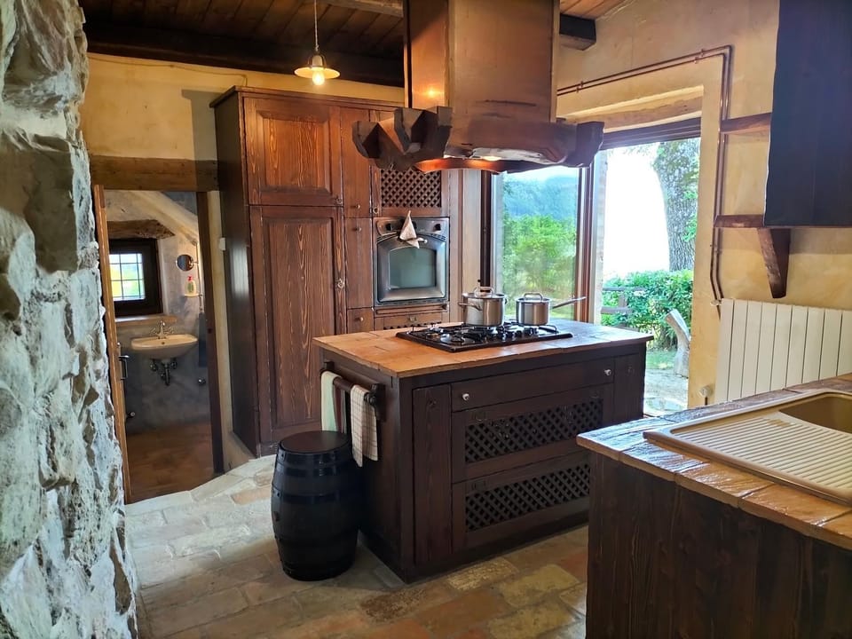 Kitchen or kitchenette, pet friendly, stove, kitchen, kitchen