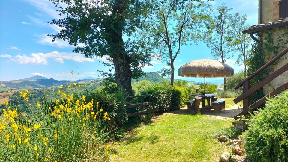 Property building, Natural landscape, Garden, Mountain view