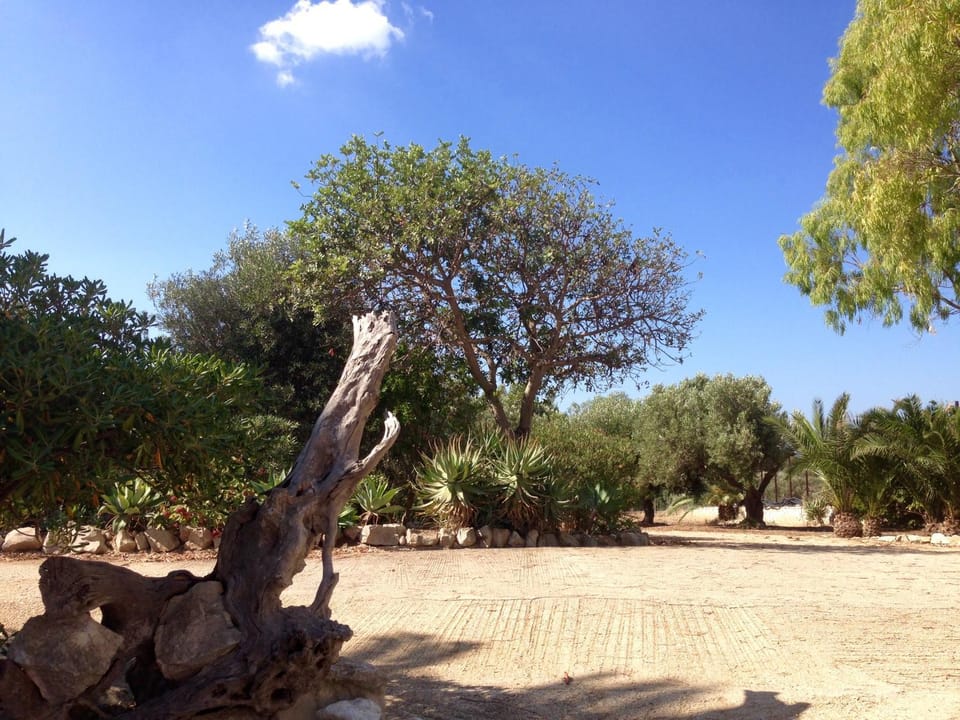 Natural landscape, Garden view