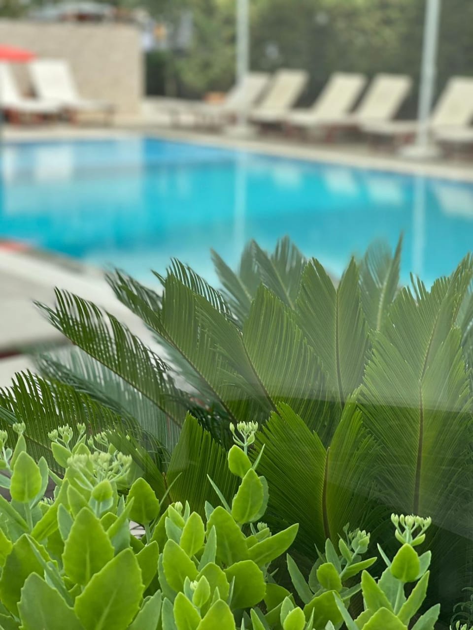 HOTEL REAN Hotel in Tirana County, Albania