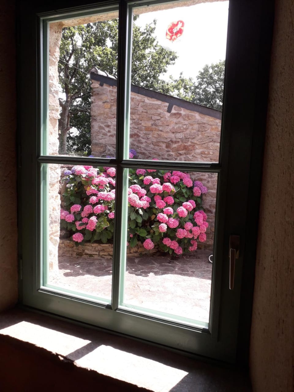 Garden view