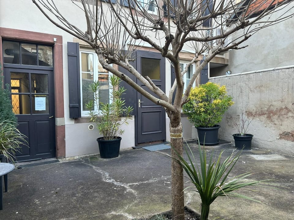 BELISAMA Apartment in Grand Est