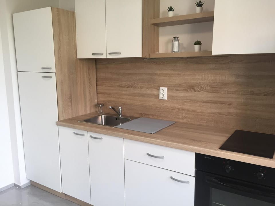 Apartman SONAS 2 with free private parking Apartment in Slovenia