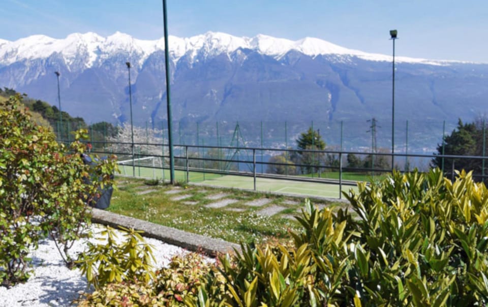 Spring, Mountain view