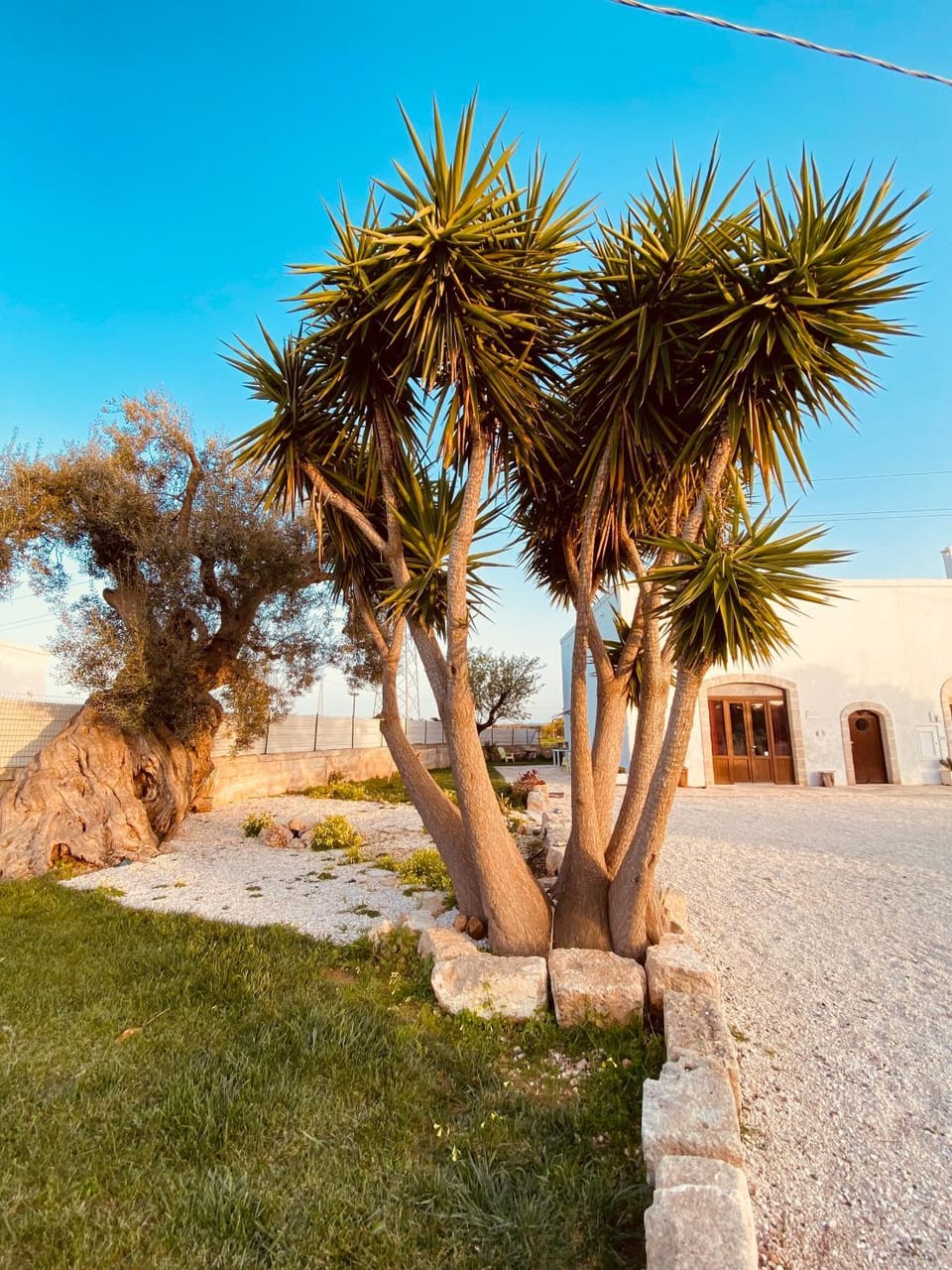 Guardian's House Bed and Breakfast in Apulia