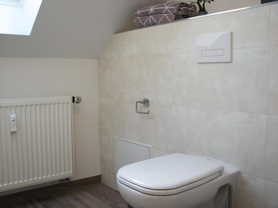 Toilet, Bathroom, Photo of the whole room, Decorative detail