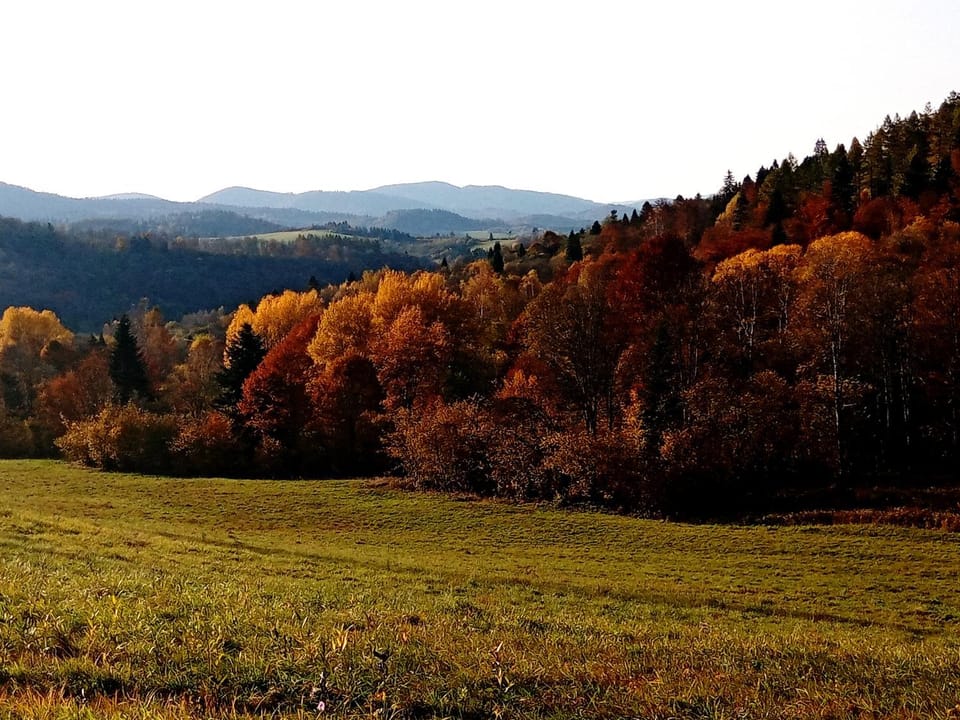 Nearby landmark, Off site, Natural landscape, Other, Mountain view