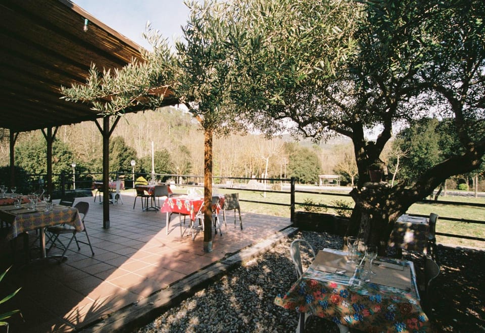 Restaurant/places to eat, Garden