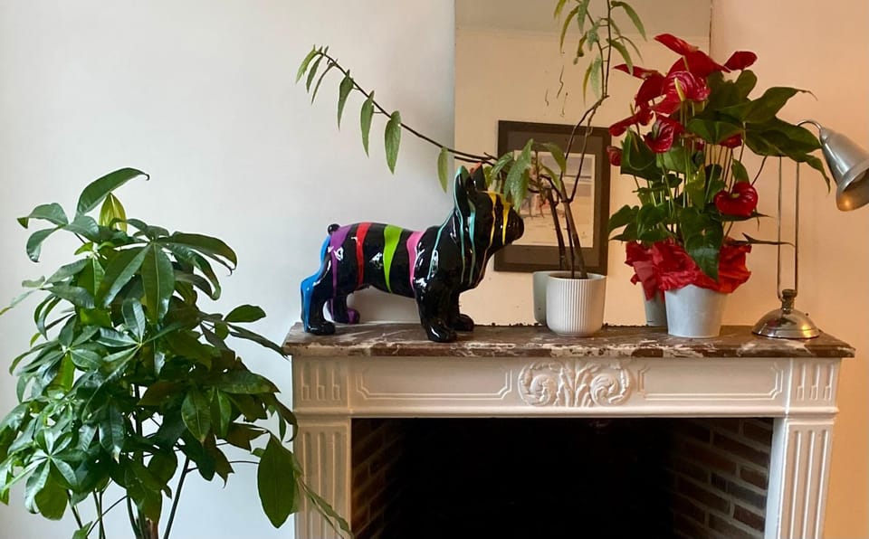 Studio Plein Centre Apartment in Île-de-France