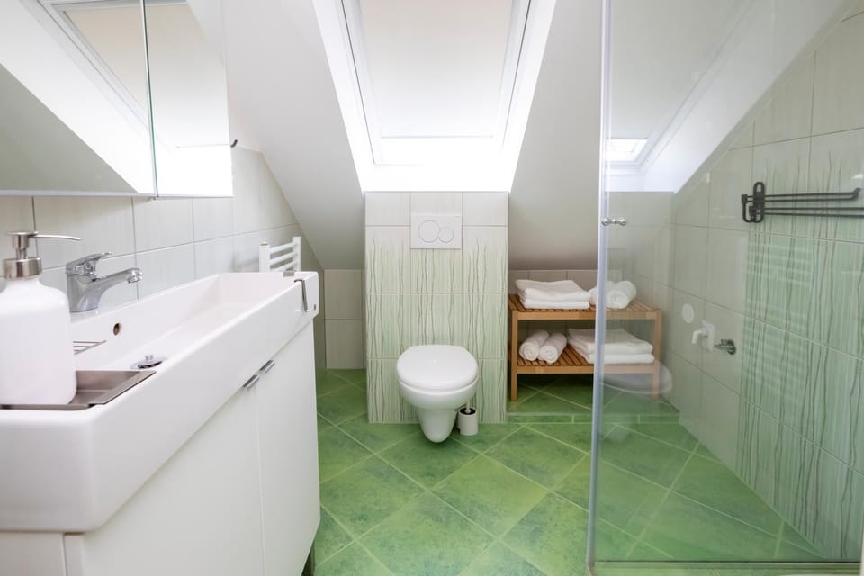 Shower, Toilet, Bathroom, towels