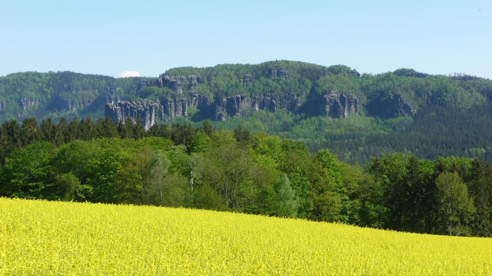Natural landscape