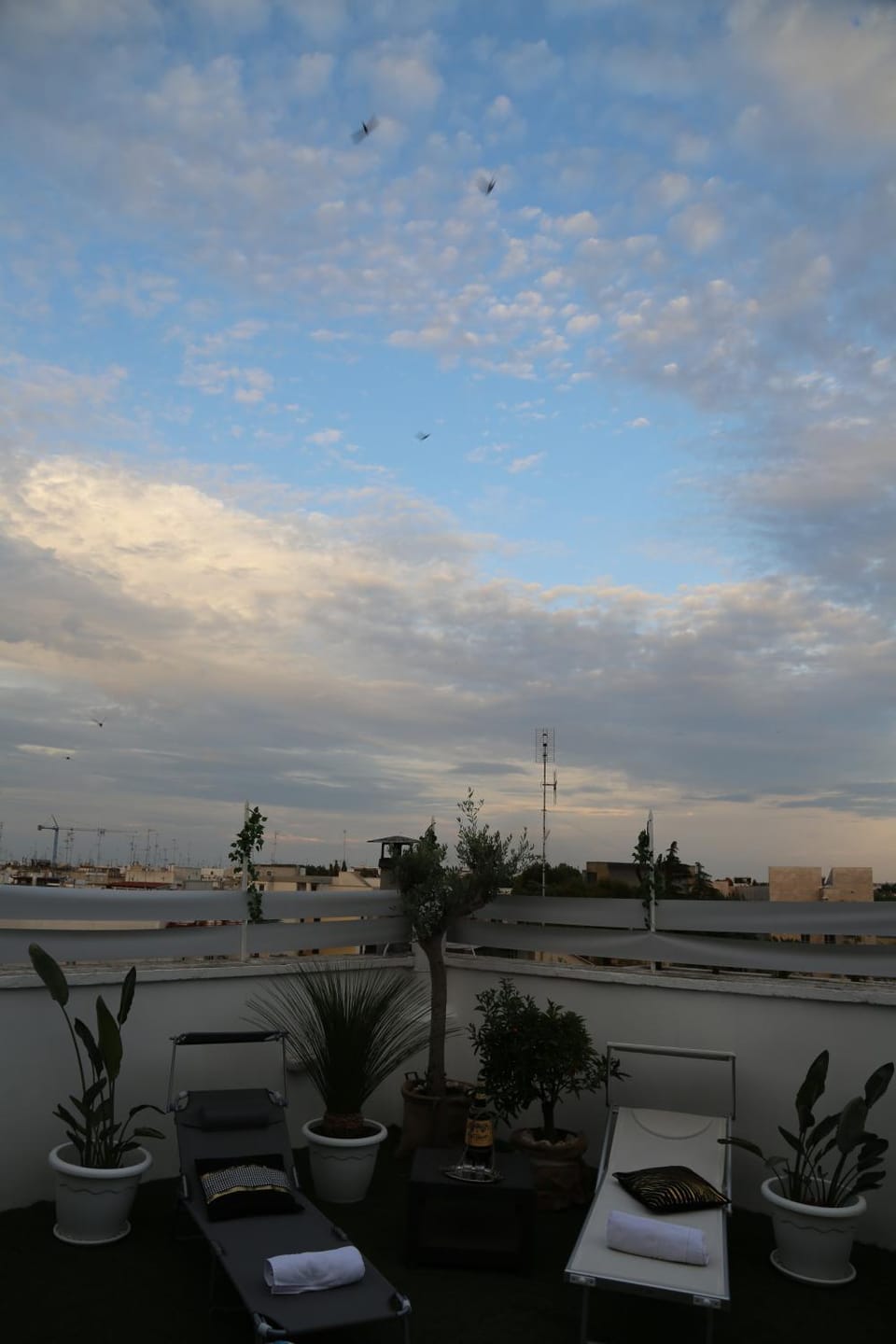 TERRAZZE BS Bed and Breakfast in Apulia