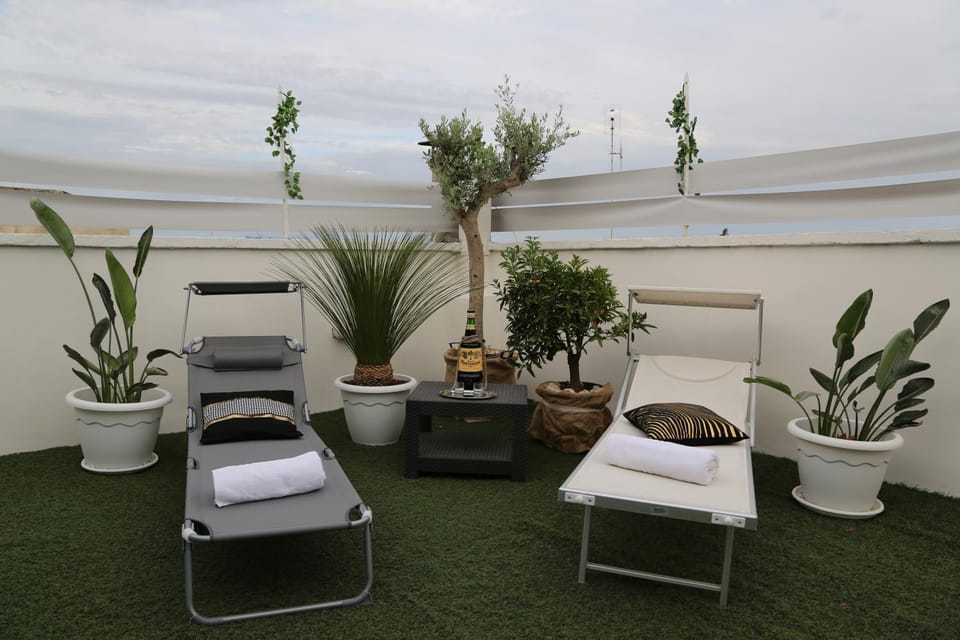 Patio, Garden