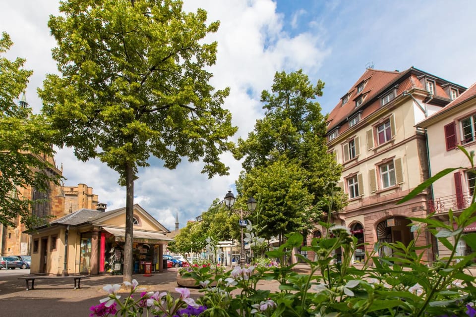 LE GRIFFON Apartment in Colmar