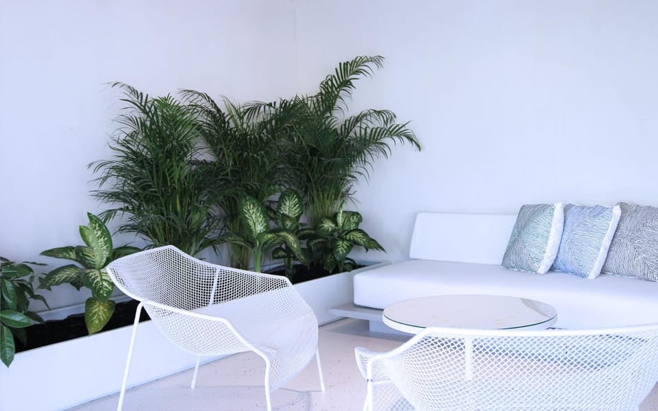 Living room, Seating area, Garden view
