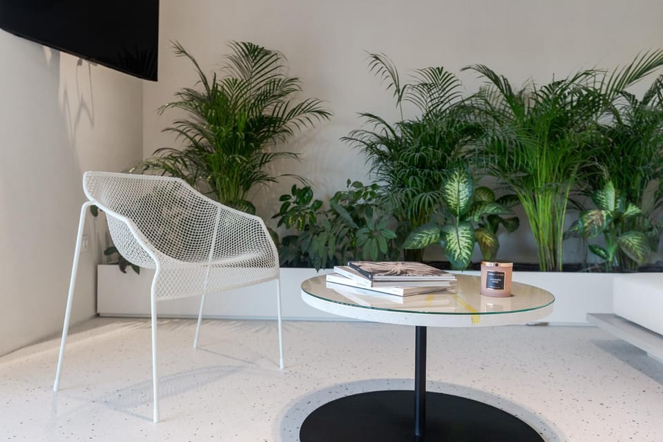 Garden, Living room, Decorative detail, Seating area