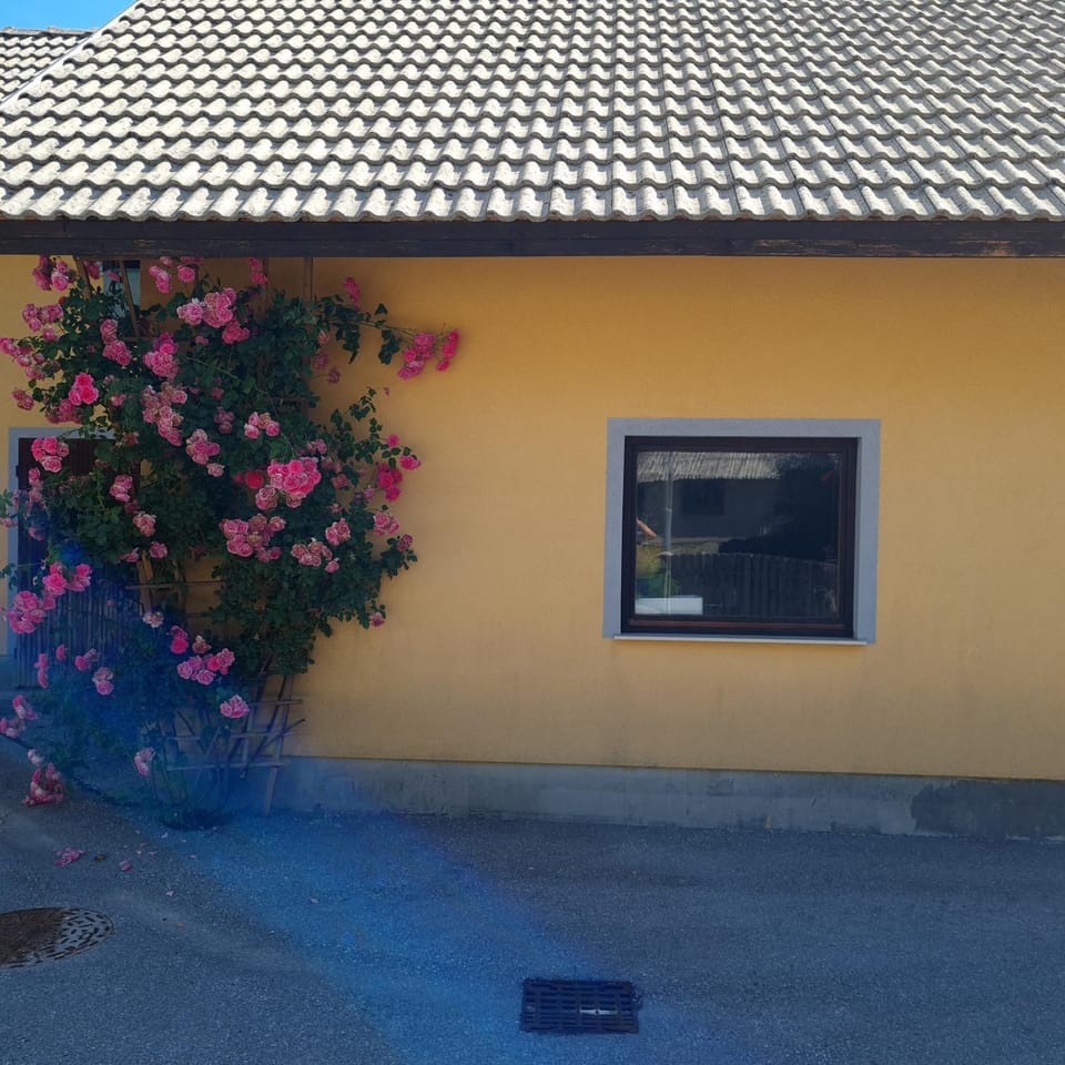 Apartma Nina Apartment in Slovenia