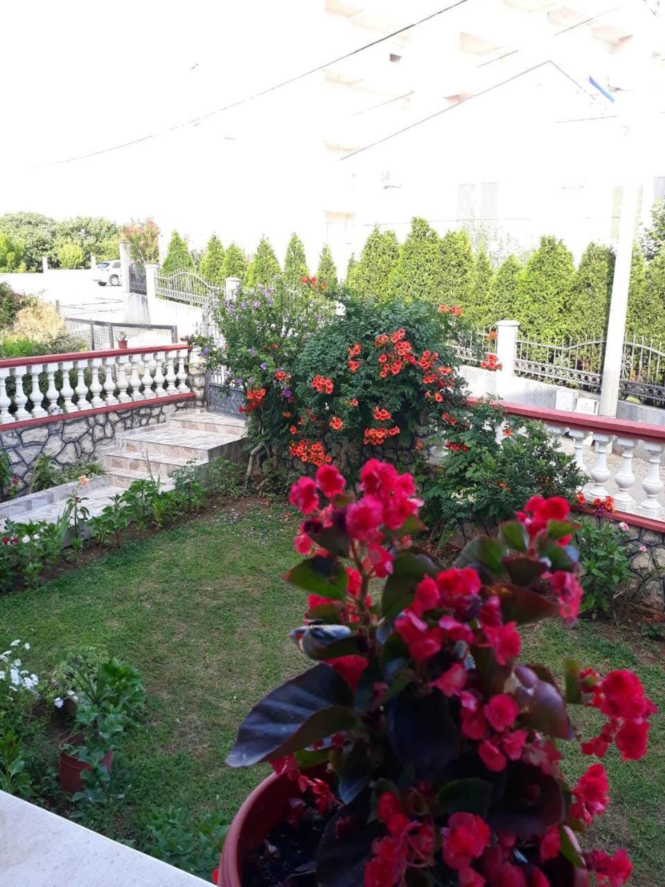 Garden view
