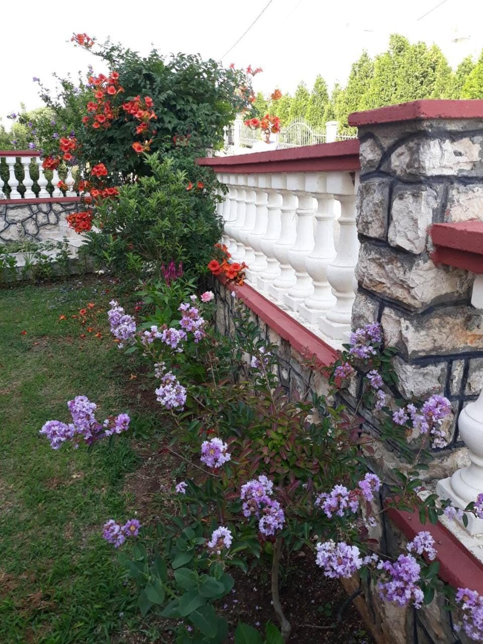 Garden view