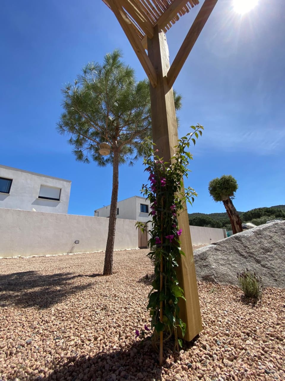 Day, Garden, Garden view