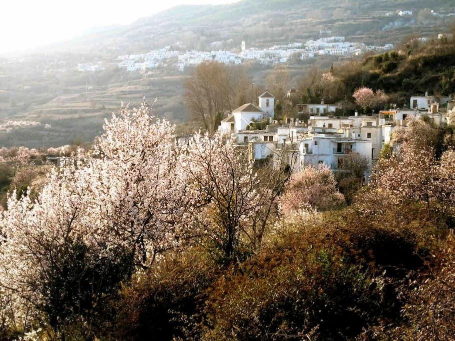 Casa Carmela, rural house with spectacular views, in an exquisite area House in Alpujarra Granadina