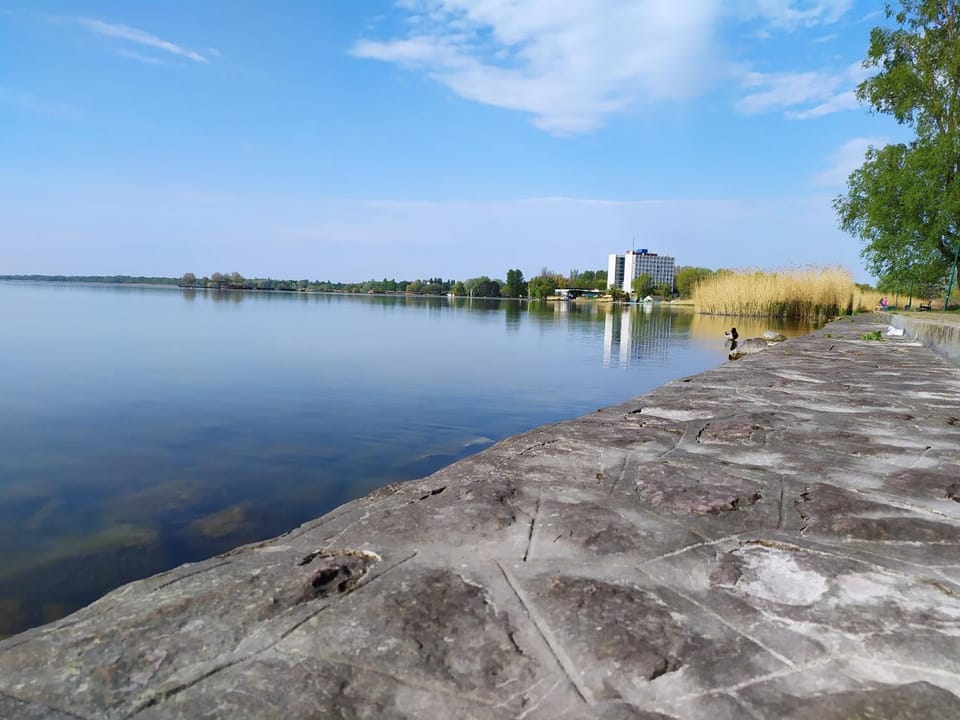 Natural landscape